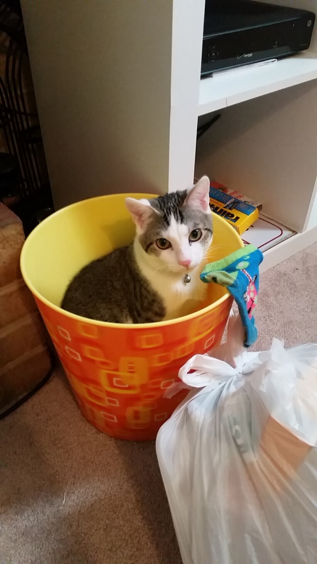 爱游戏体育客户端-“生死瞬间：赛场紧急救援背后的奇迹”，生死时速紧急救护纪录片