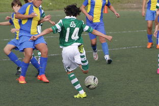 爱游戏体育平台-国际足球协会推动足球全民普及，青少年参与度飙升，各国青少年足球注册人口